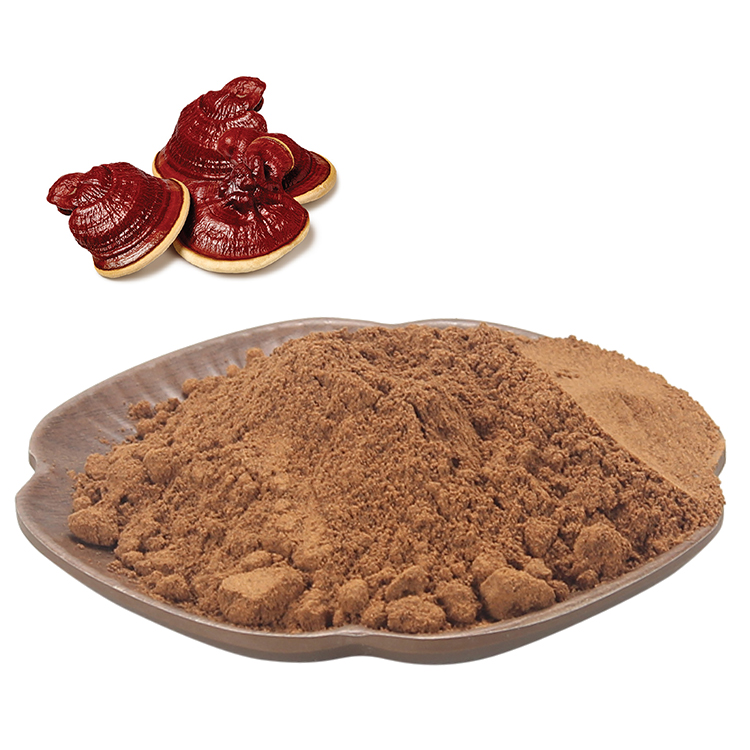 Longevity Support Formula with Forest Mushrooms